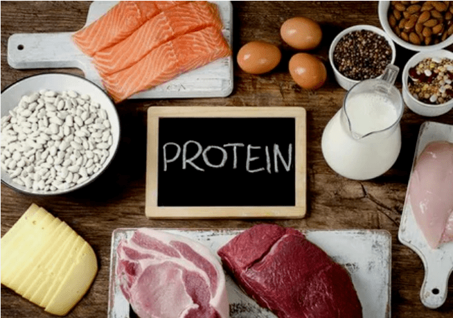 Proteïne dieetproducten